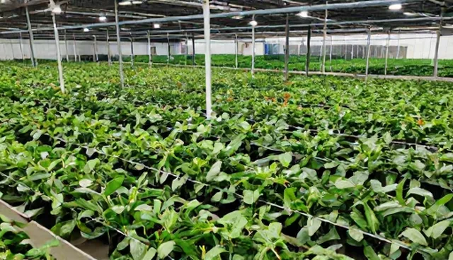 提升品牌活动效果的实用内容策划建议